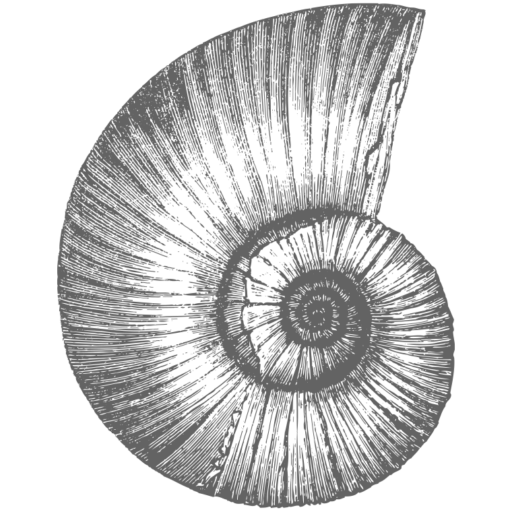 Amonstone logo